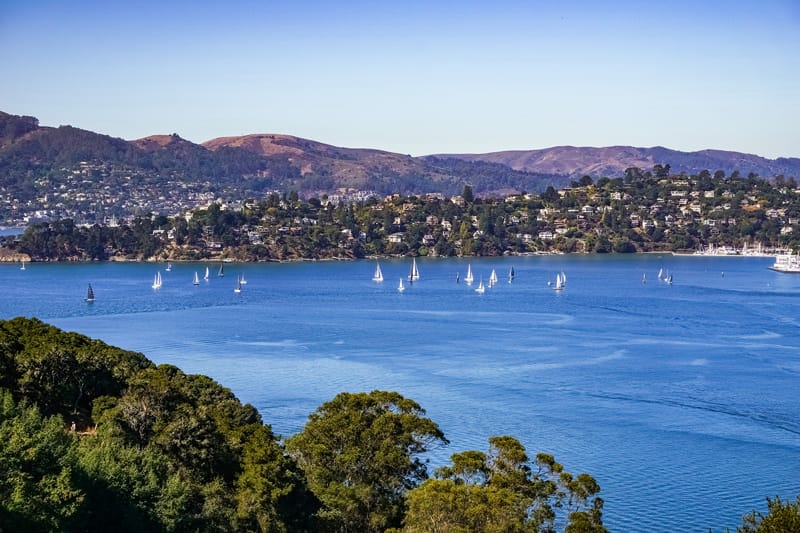 Elevate Your Moving Experience in Tiburon with Pedro’s Moving Services